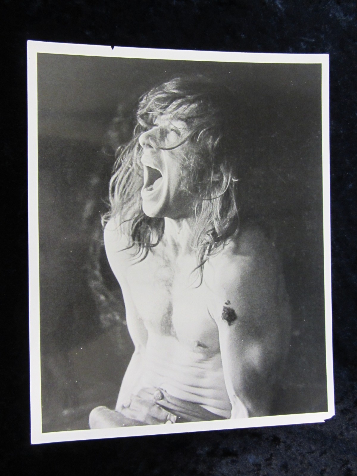 THE COMPANY OF WOLVES original press photo NEIL JORDAN