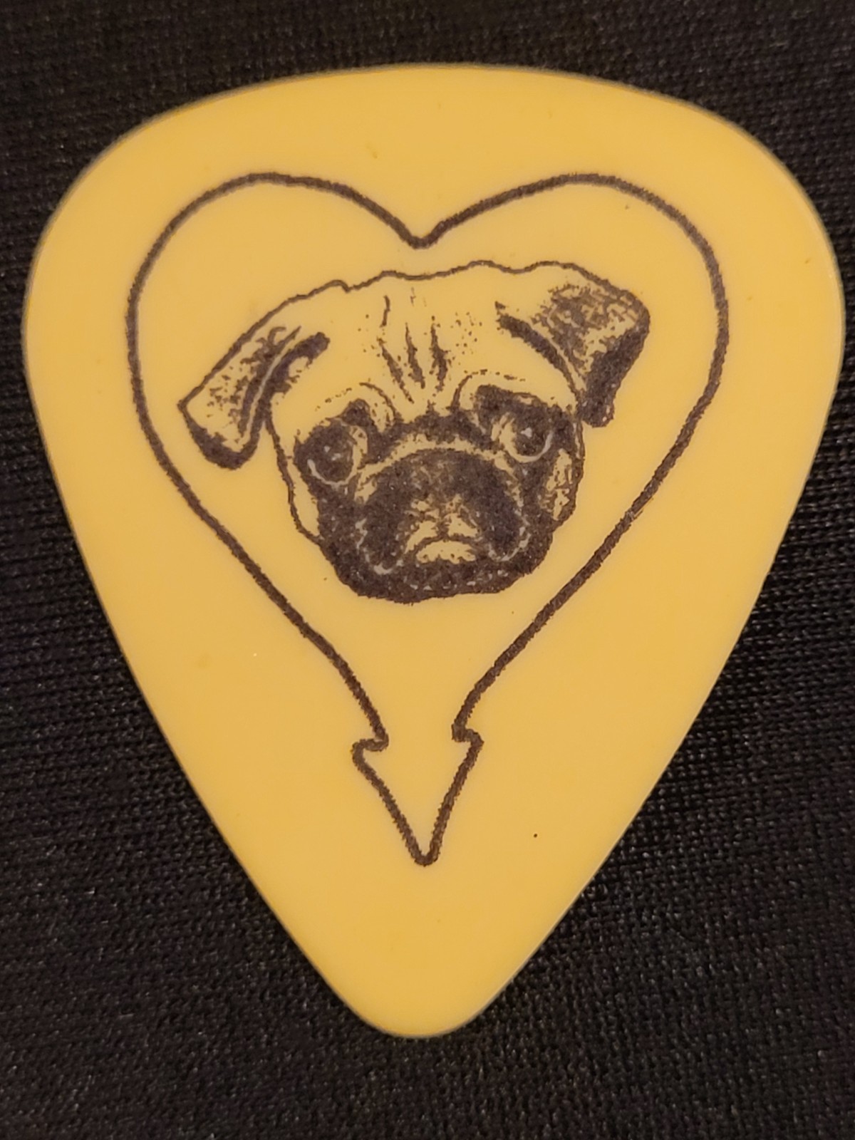 Alkaline Trio 2000s era guitar pick stage-used Planet Waves pug plectrum ALK3