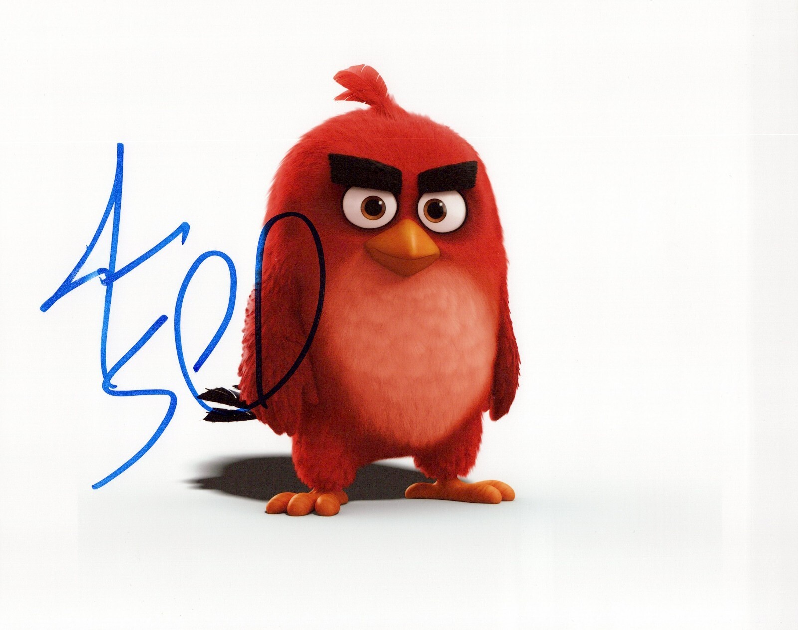 Jason Sudeikis The Angry Birds Movie autographed photo signed 8×10 #1 tny smudge