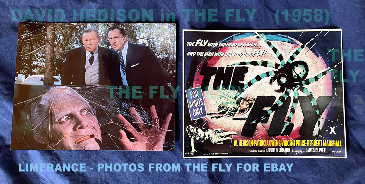 David Hedison Vincent Price Herbert Marshall The Fly – 2 8×10 Glossy Photos