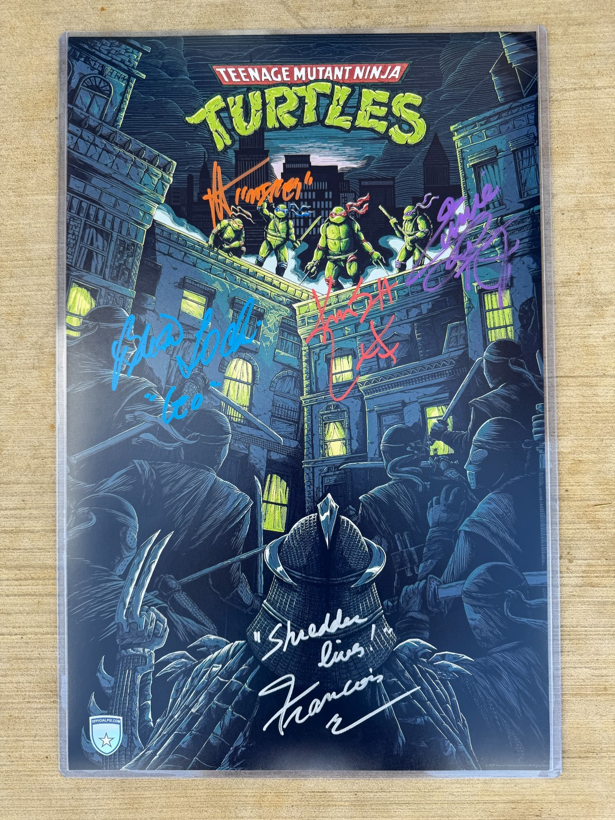 Signed TMNT Photo 11×17 Tochi, Reyes Jr., Scott, Rist, Chau Official Pix COA