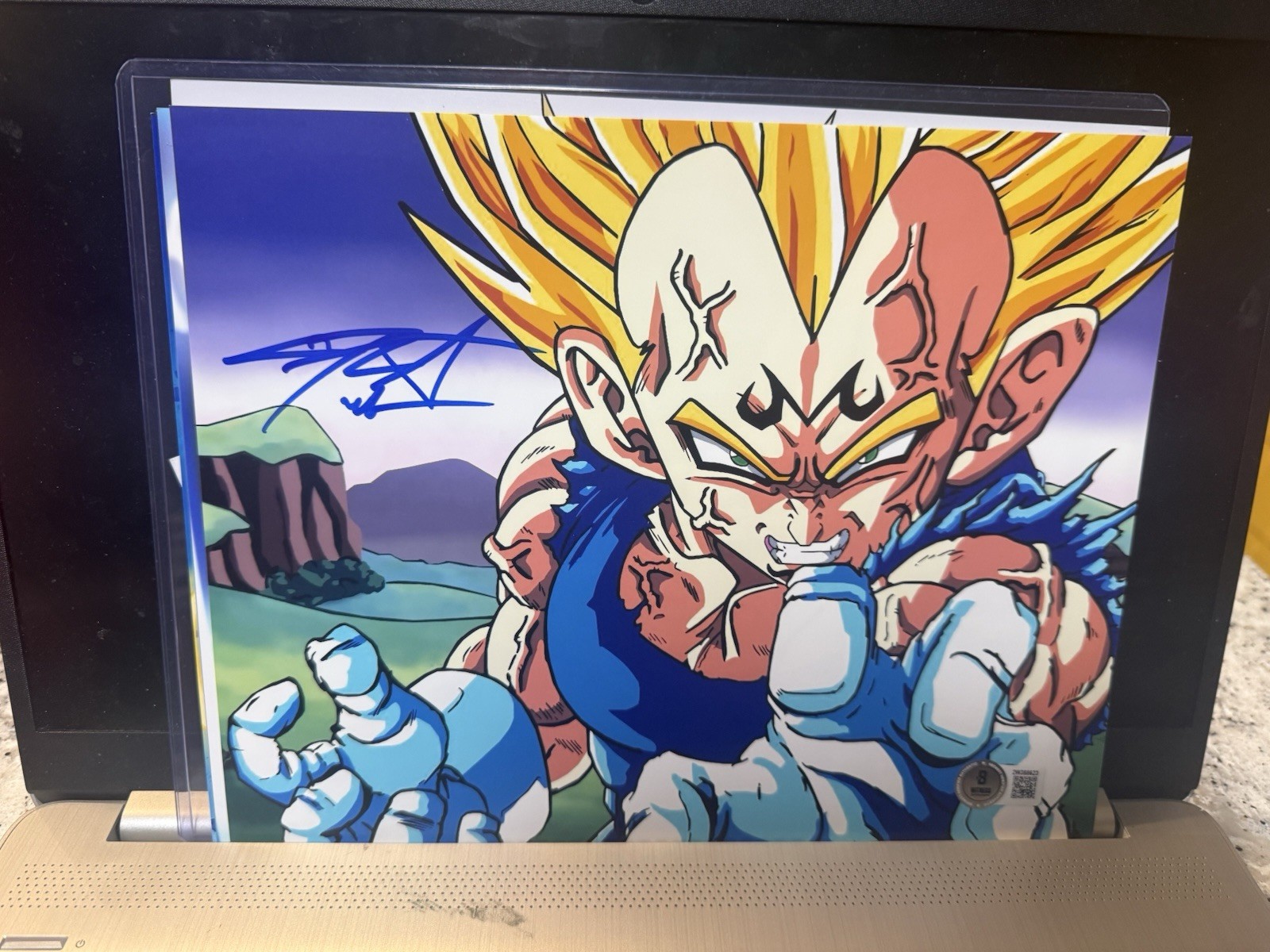 CHRIS SABAT SIGNED VEGETA 8X10 PHOTO DRAGON BALL Z DBZ ANIME AUTOGRAPH BECKETT P