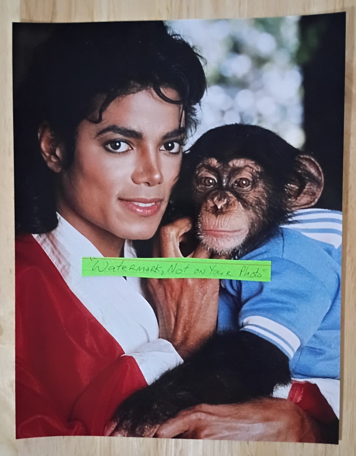 Michael Jackson & Bubbles 1983, 8.5×11 Glossy Heavyweight Photo, Six Color Ink