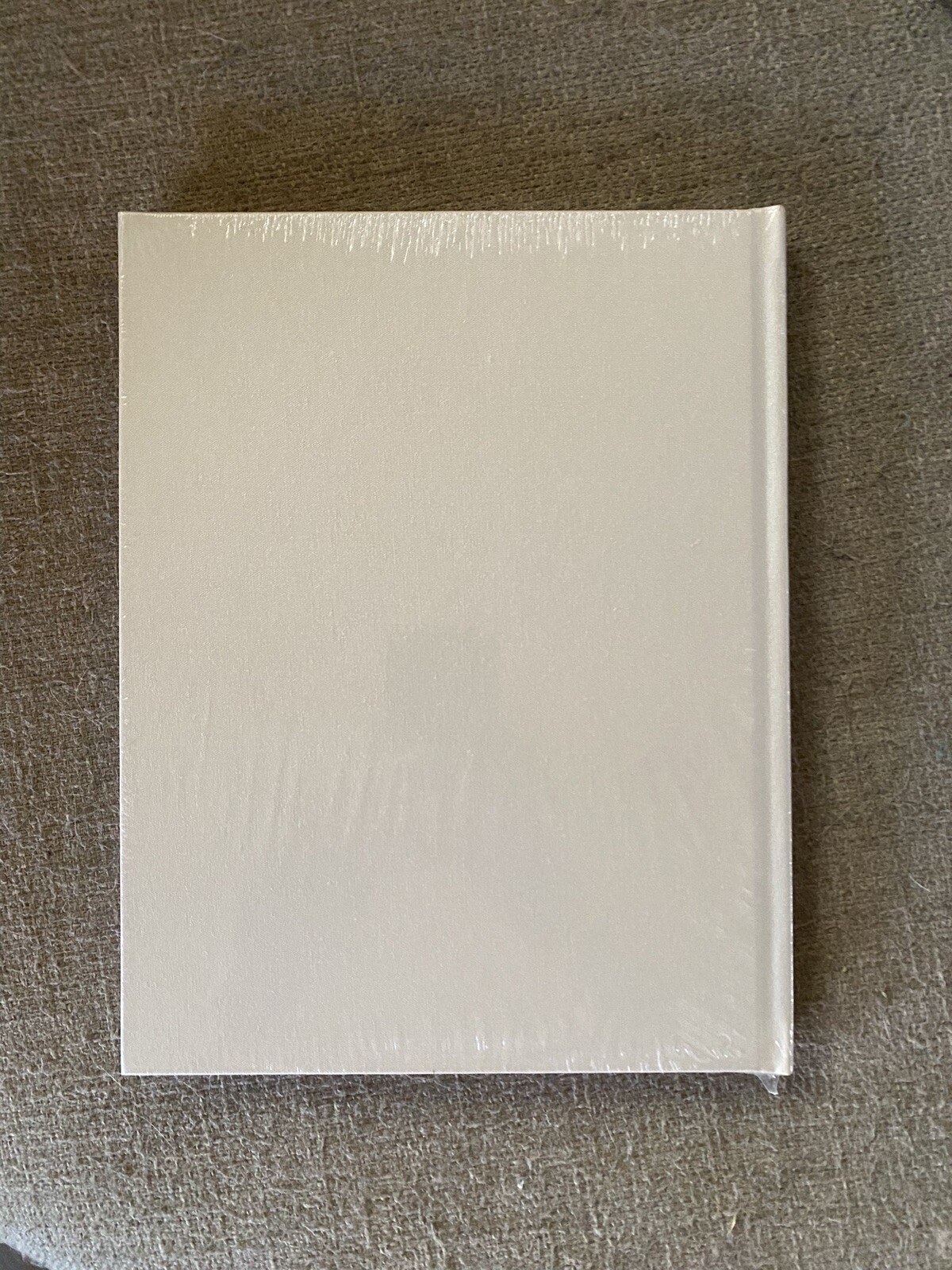 Hardcover ‘White Noise’ Screenplay Script Book FYC For Your Consideration Sealed