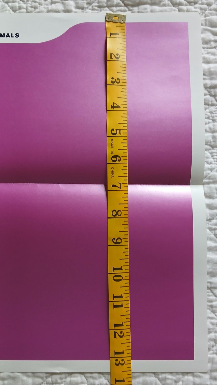 The Promise Ring “Electric Pink” Promo Poster