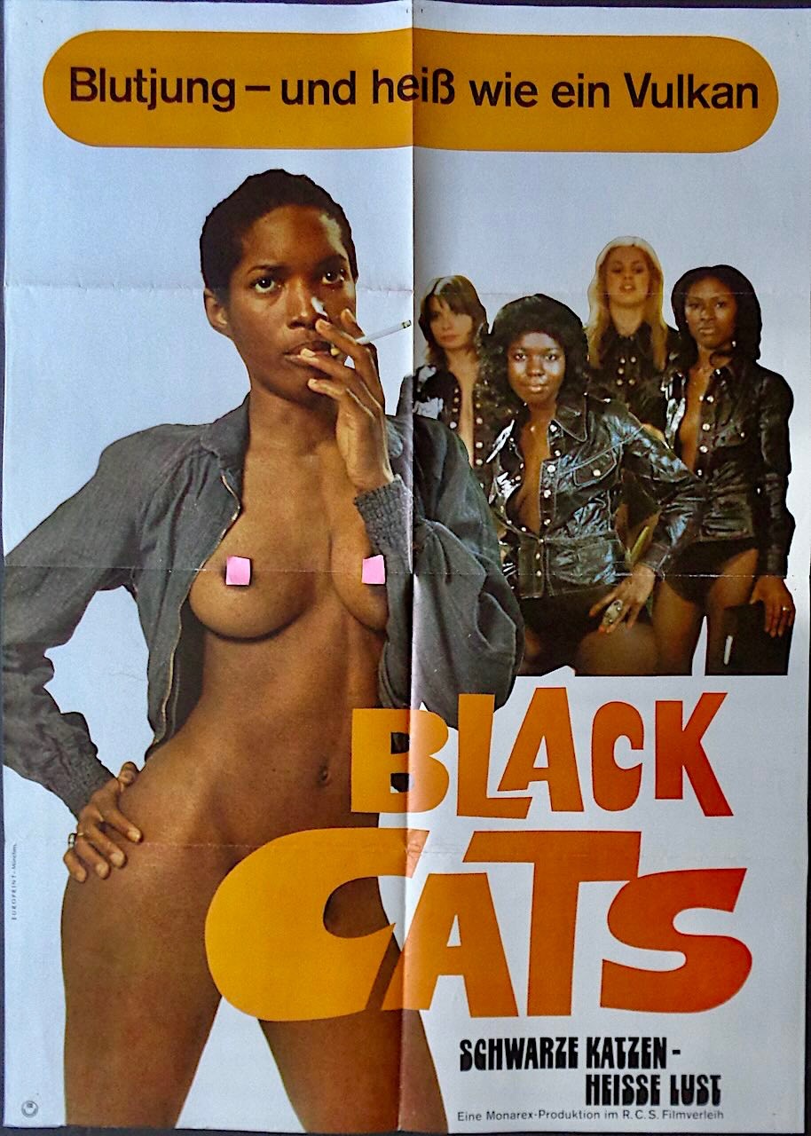 BLACK ALLEY CATS German A1 movie poster 1973 BLAXPLOITATION EXPLOITATION