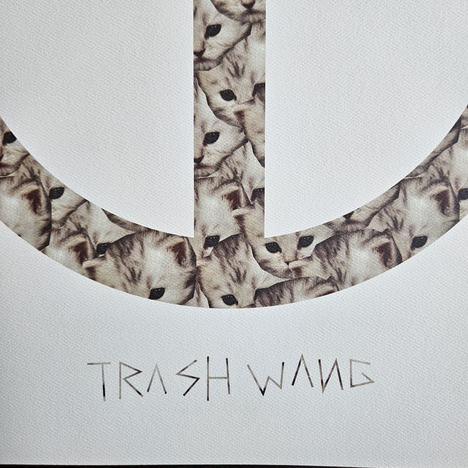 ODD FUTURE TRASH WANG LIMITED NUMBERED POSTER TYLER THE CREATOR TRASH WANG TALK