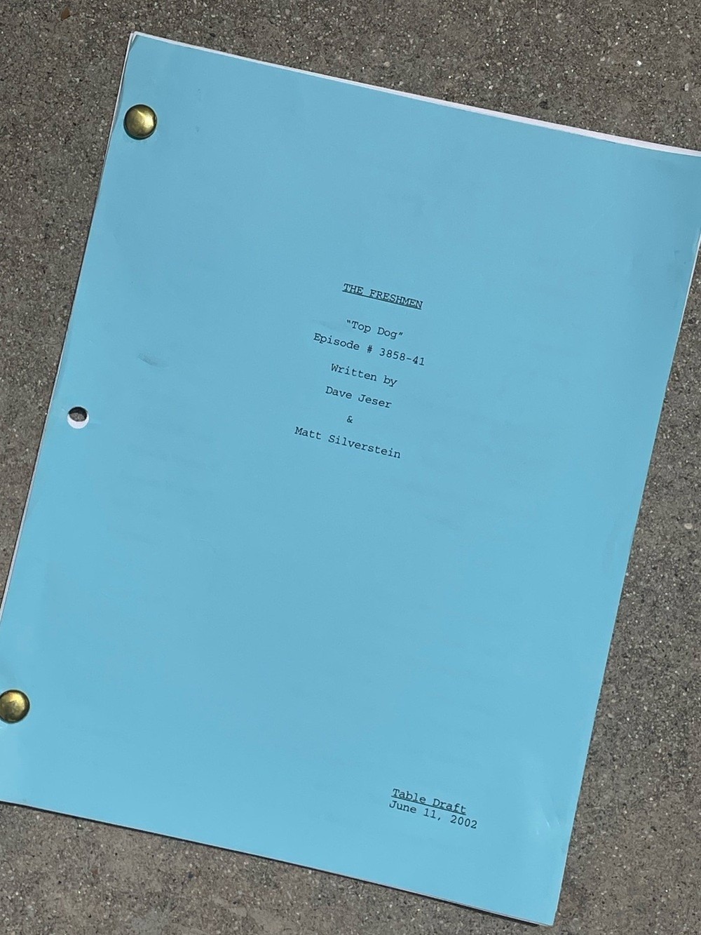 Vtg MTV Animated Series 3-South fka The Freshman Table Draft Script Top Dog