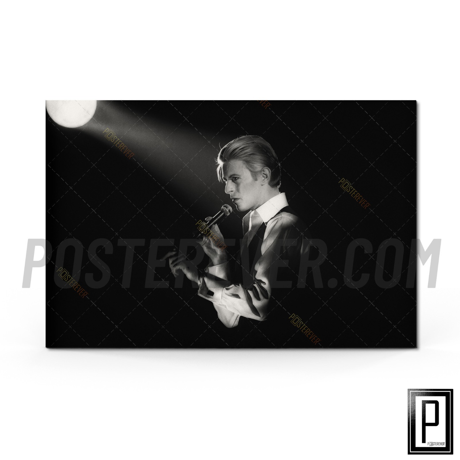 David Bowie 1976 Profile B&W Photo Poster | Thin White Duke Tour Wall Art Print