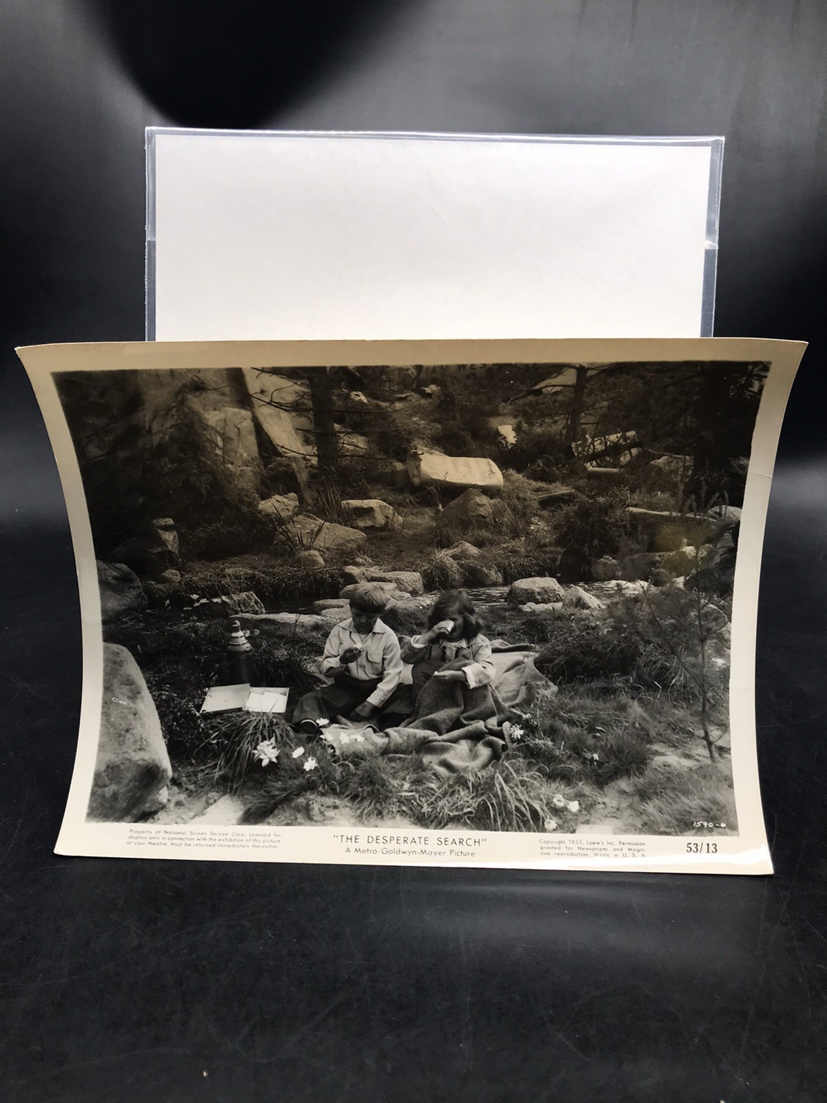 1953 THE DESPERATE SEARCH Lee Aaker & Linda Lowell Publicity Press Kit Photo
