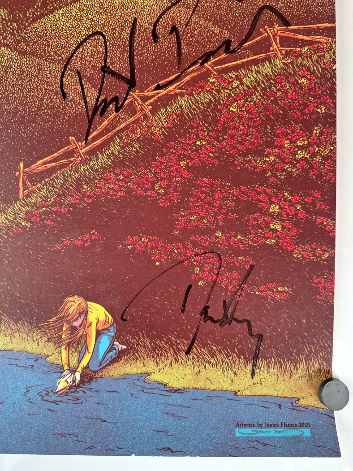 COUNTING CROWS CONCERT POSTER Somewhere Under Wonderland USA TOUR 2015 SIGNED!