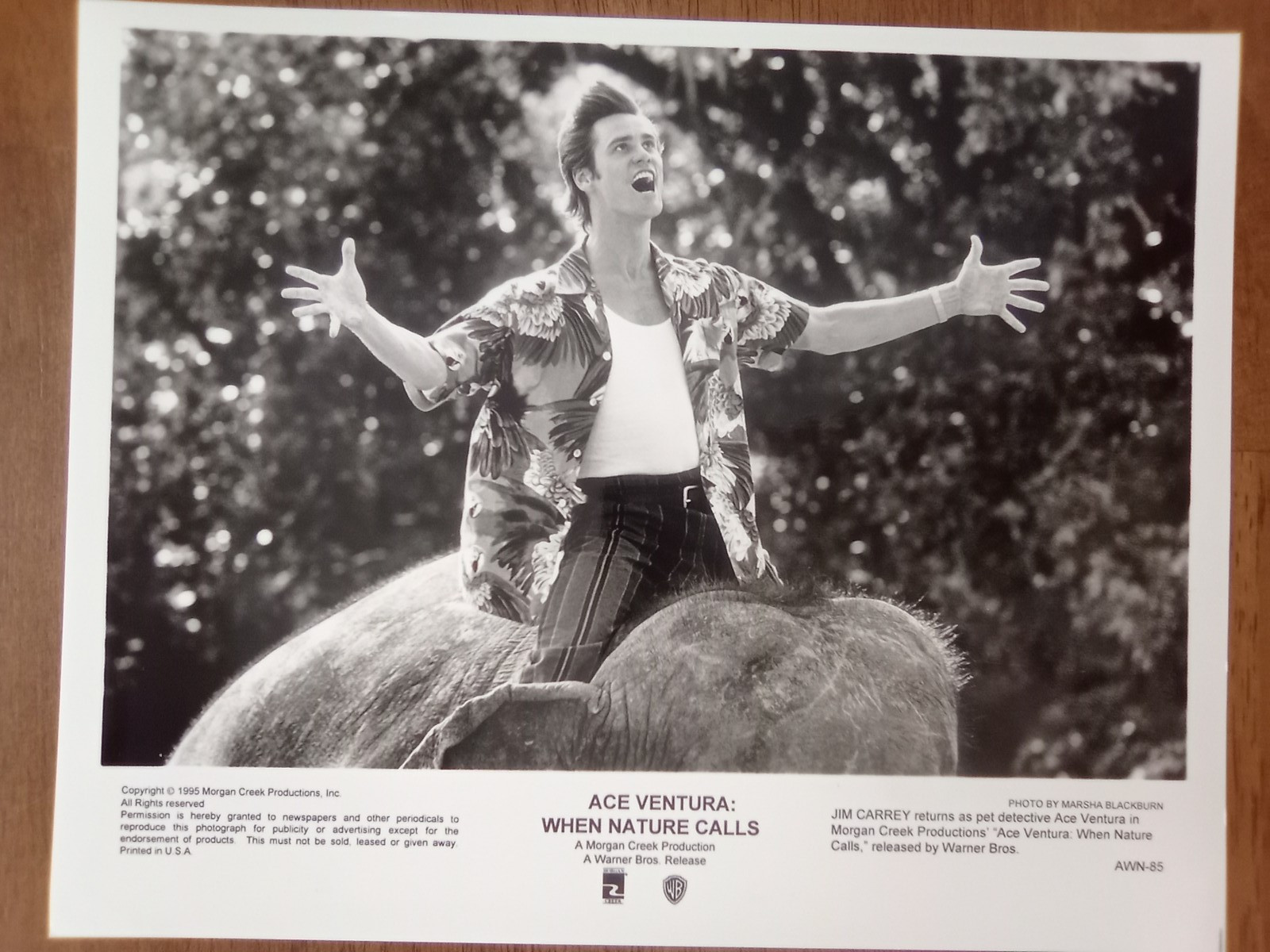 ace ventura when nature calls presskit ex+ 8 stills[mint] jim carrey original