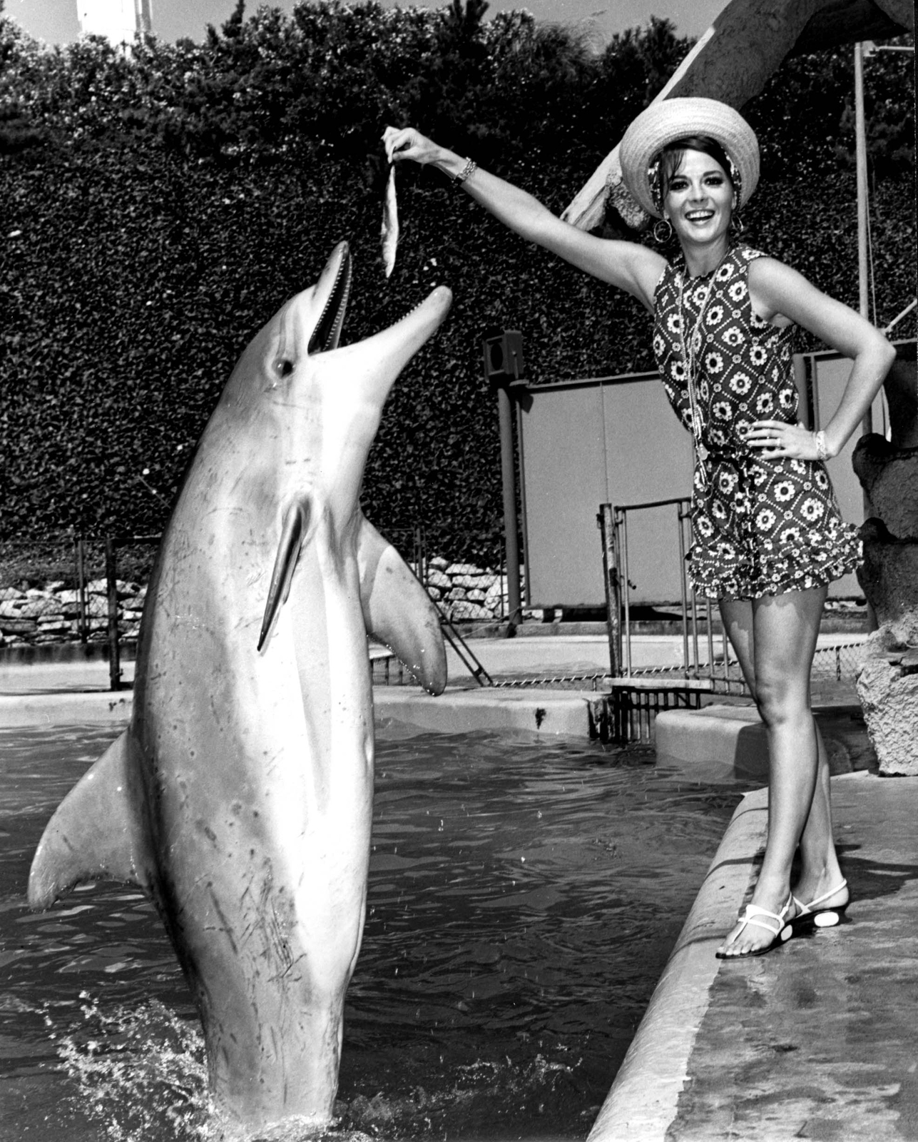 A Natalie Wood Posing With A Big Fish 8×10 Picture Celebrity Print