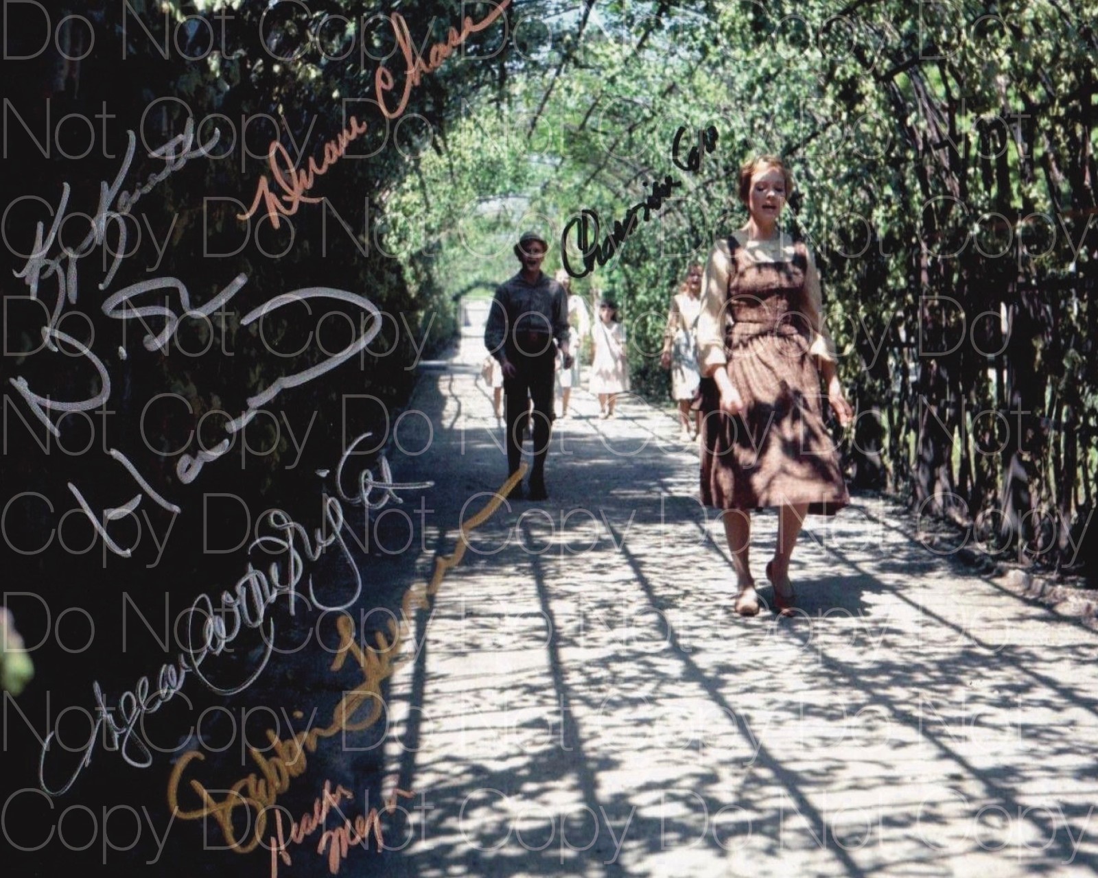 The Sound of Music signed photo 8X10 poster picture autograph RP