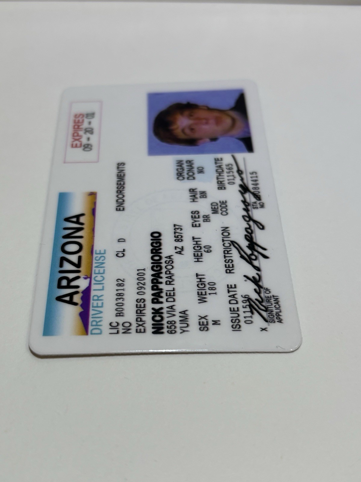 Nick Pappagiorgio Lampoon Vegas Vacation Movie Novelty ID License | Free Ship