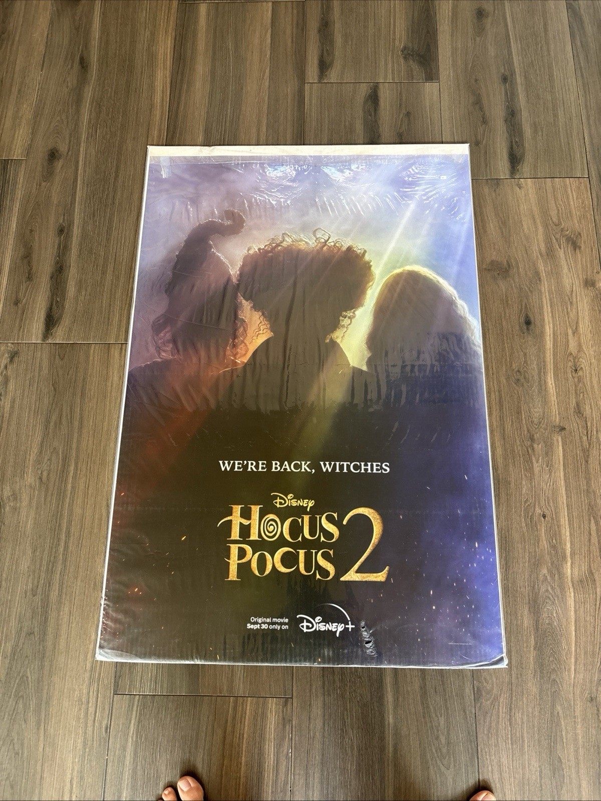 Hocus Pocus 2 Movie Poster 27×40 D/S Bette Midler Sarah Parker Kathy Najimy