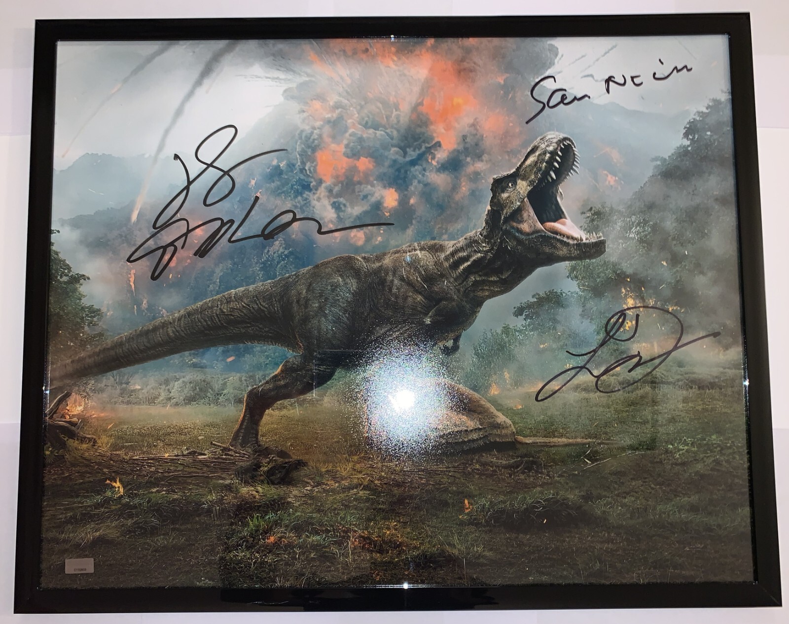 Laura Dern Jeff Goldblum Sam Neill ‘Jurassic World’ Autographed 16×20 CoA & FSD