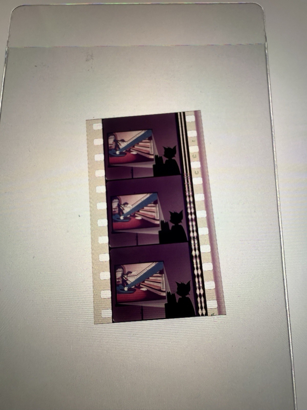 Tom & Jerry 35mm Film Cell MGM Cartoon Animation Collectible