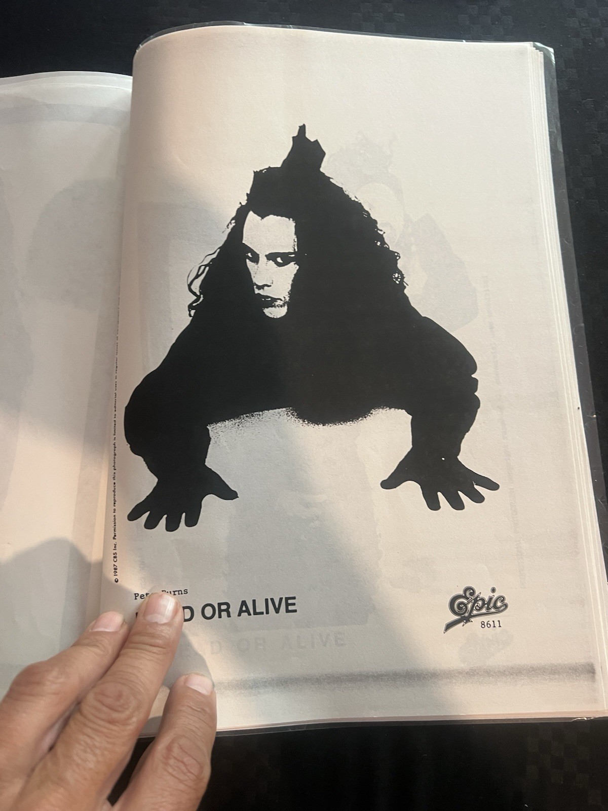 Dead Or Alive Flyers Concert Gigs