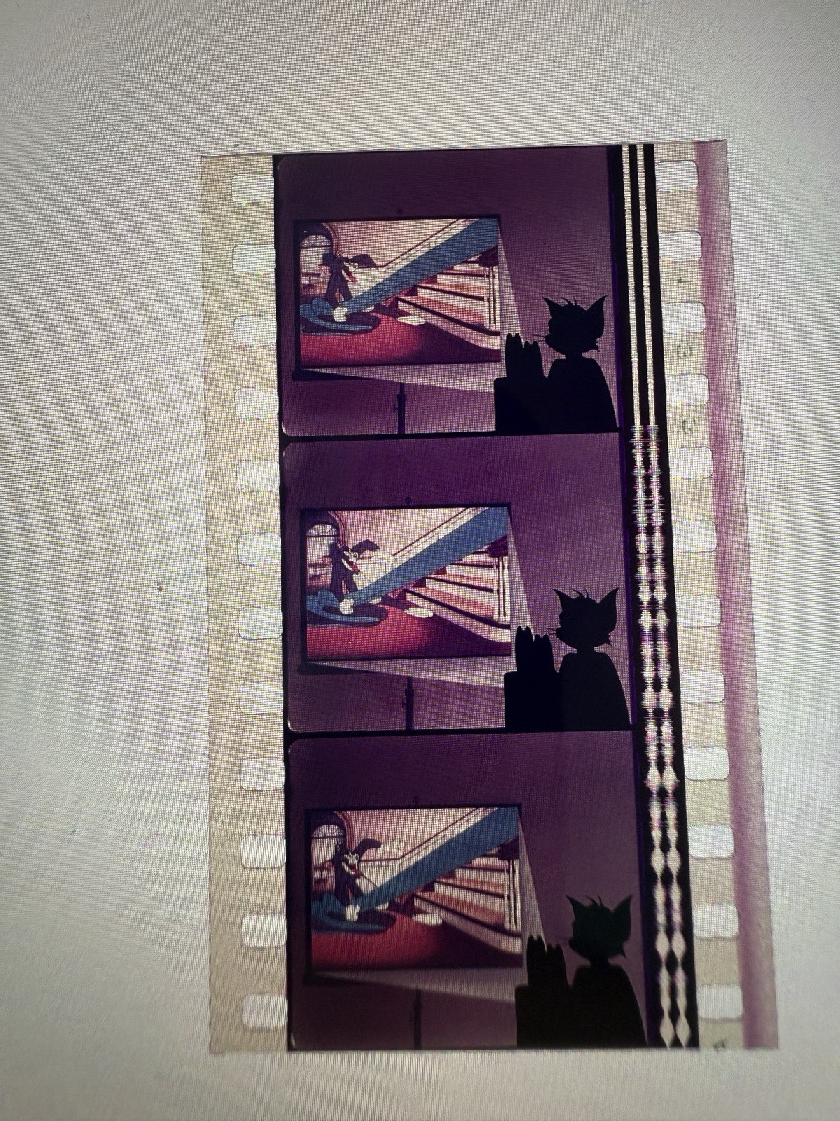 Tom & Jerry 35mm Film Cell MGM Cartoon Animation Collectible