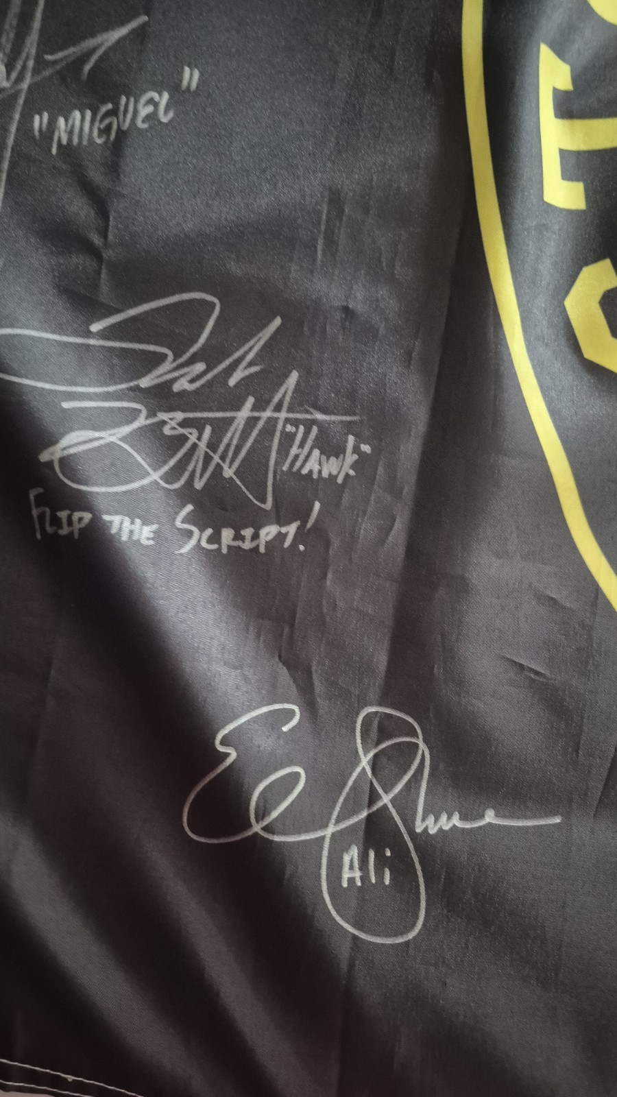 Cobra Kai Flag Autographed By Cast