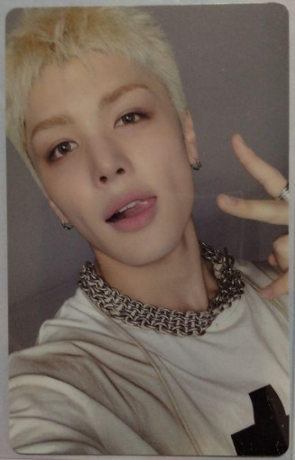 &team andteam “Back to Life” STUDIO CHOOM PHOTOCARD POB (ROAR VER.)
