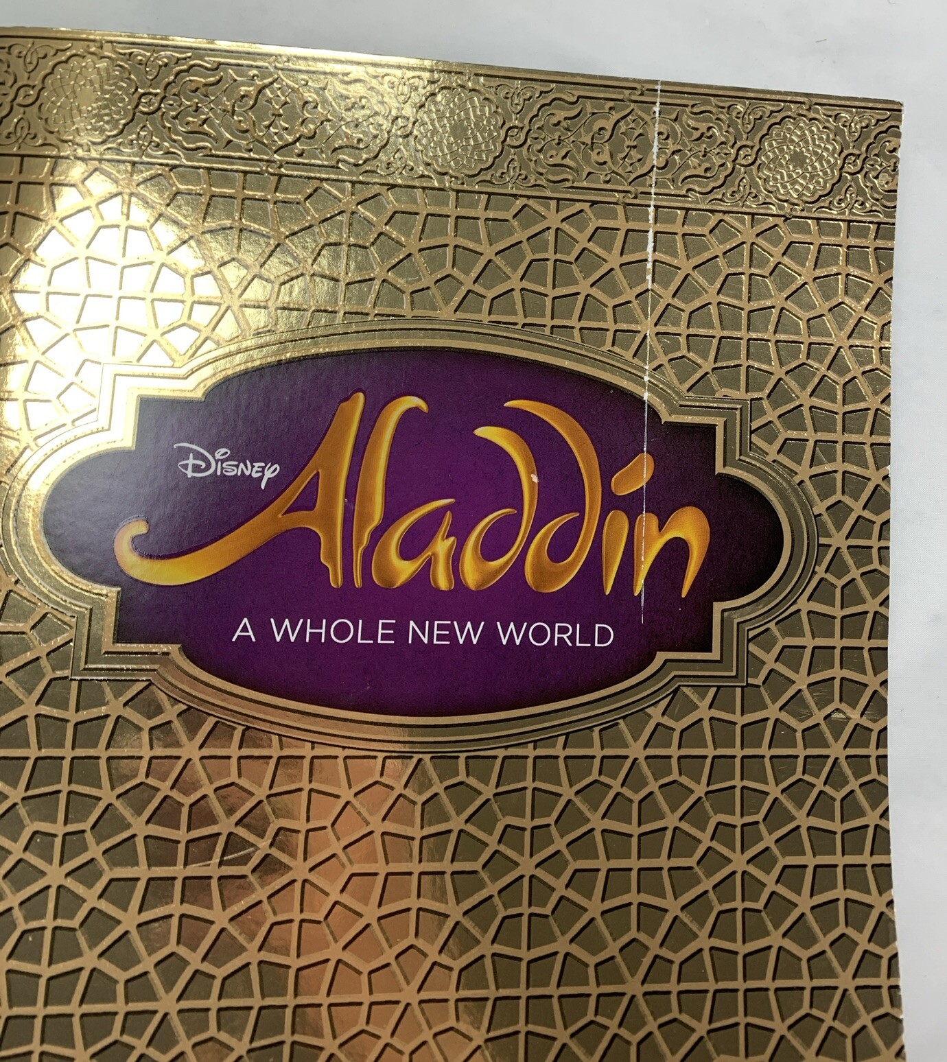 Disney Aladdin A Whole New World Broadway Musical Program Book Souvenir 9” x 13”