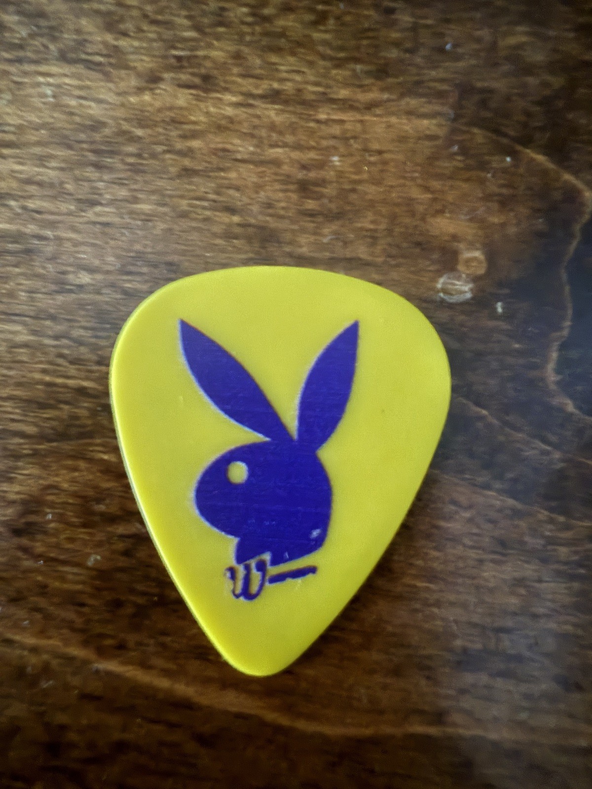 The Wallflowers Jakob Dylan Guitar Pick 2025 Tour