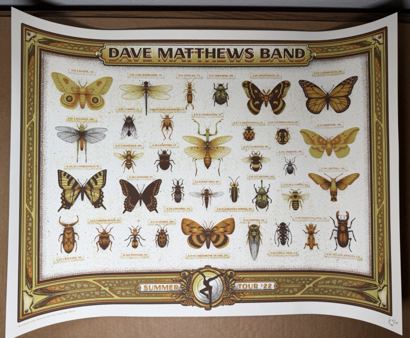 Dave Matthews Band Summer Tour 2022 AP Poster – Half Hazard Press
