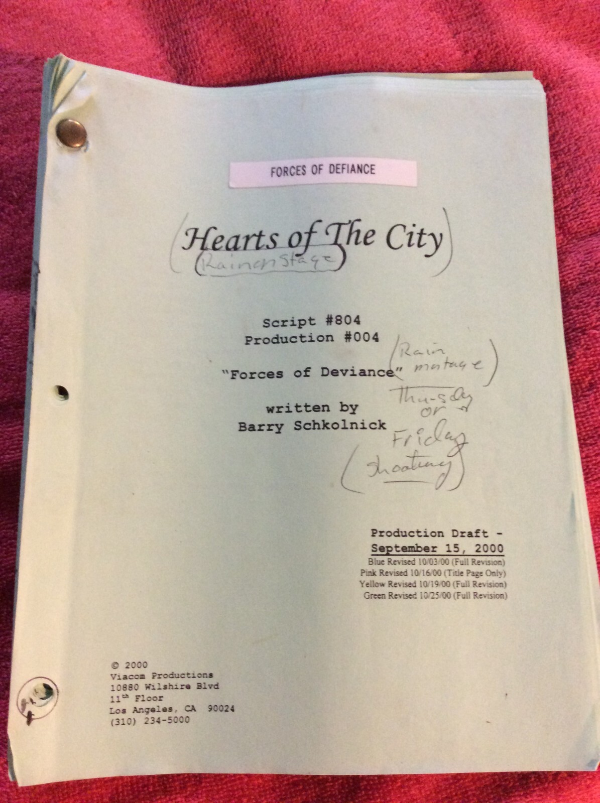 SCRIPT HEARTS OF THE CITY THE DIVISION FORCES OF DEVIANCE 804 2000 NANCY MCKEON