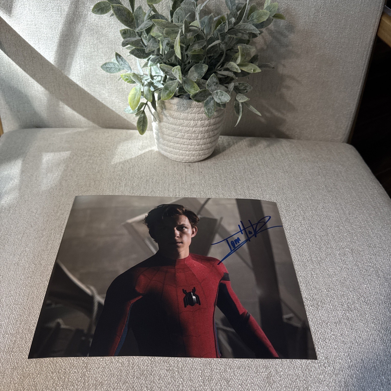 Tom Holland Spider-Man Autographed Signed 8X10 Photo w/COA Proof & Hologram !!