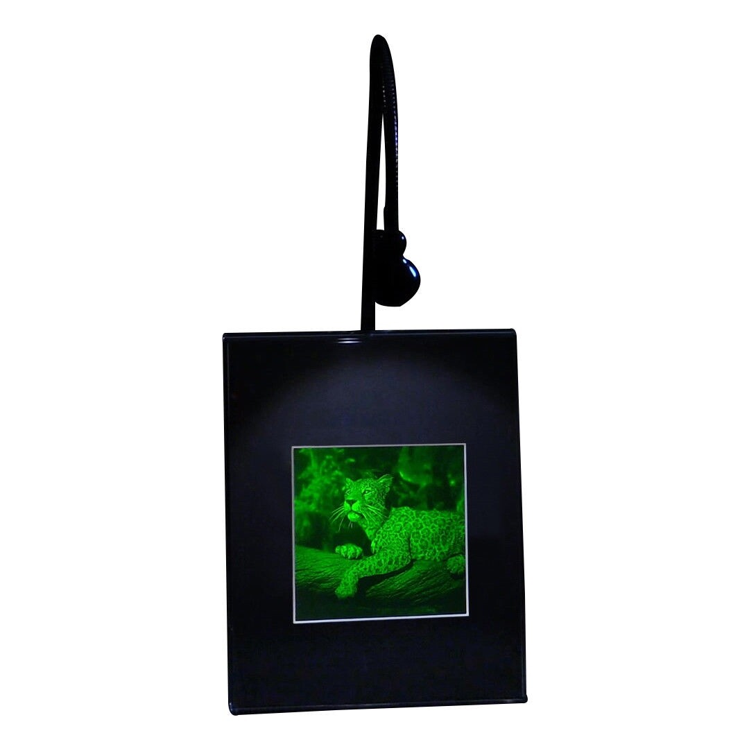 3D JAGUAR 2-Channel Hologram Picture (LIGHTED DESK STAND) Photopolymer Type Film