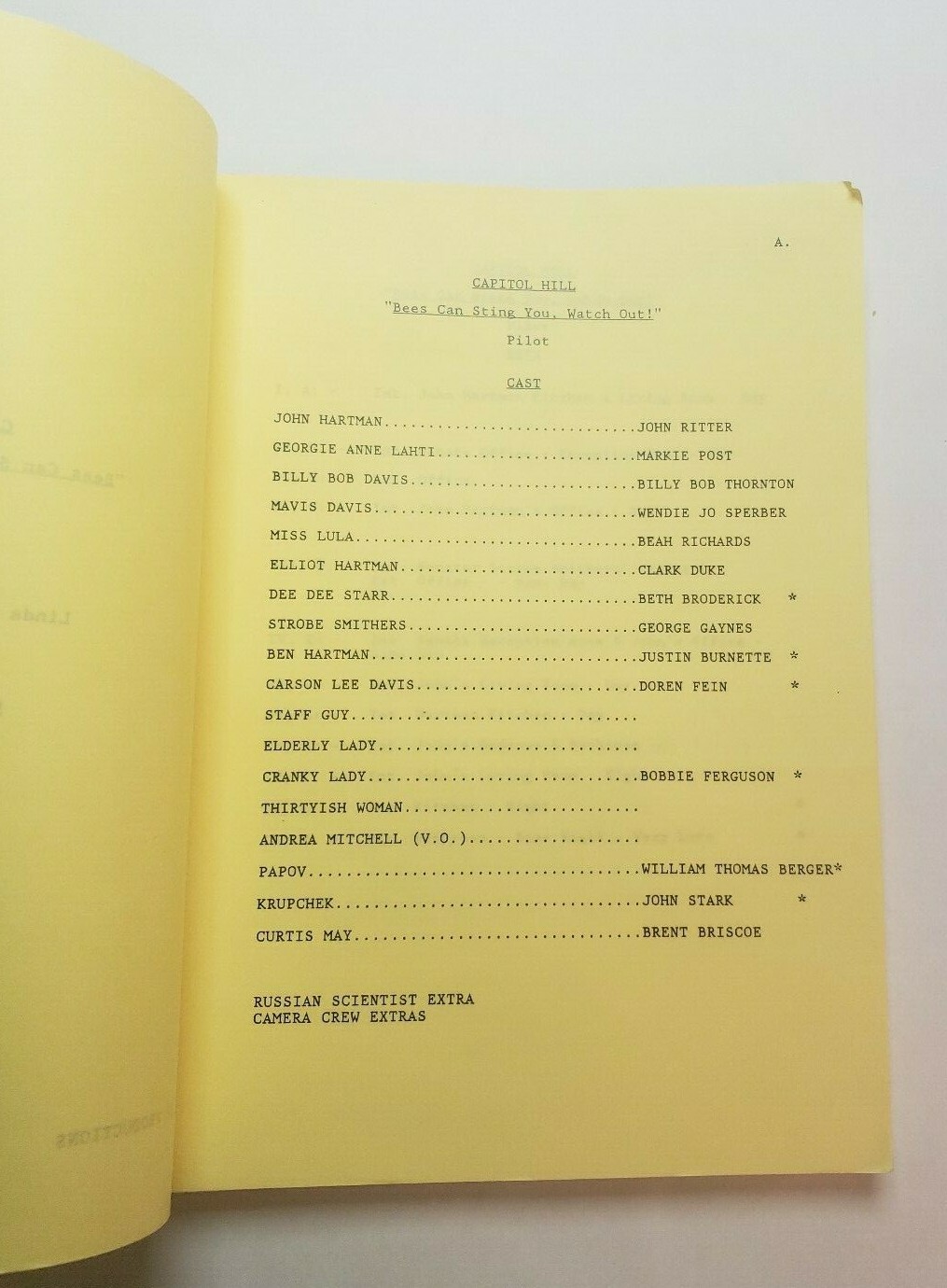 HEARTS AFIRE / 1992 TV Script PILOT EPISODE “Bees Can Sting You, Watch Out!”