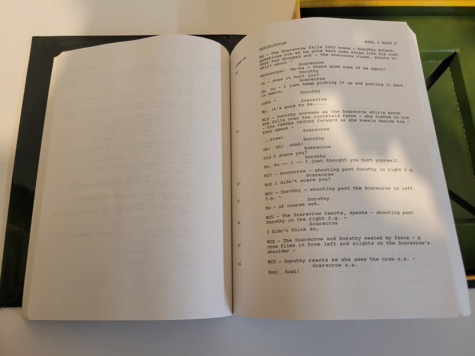 Turner Entertainment Company The Wizard Of Oz Deluxe Edition Continuity Script