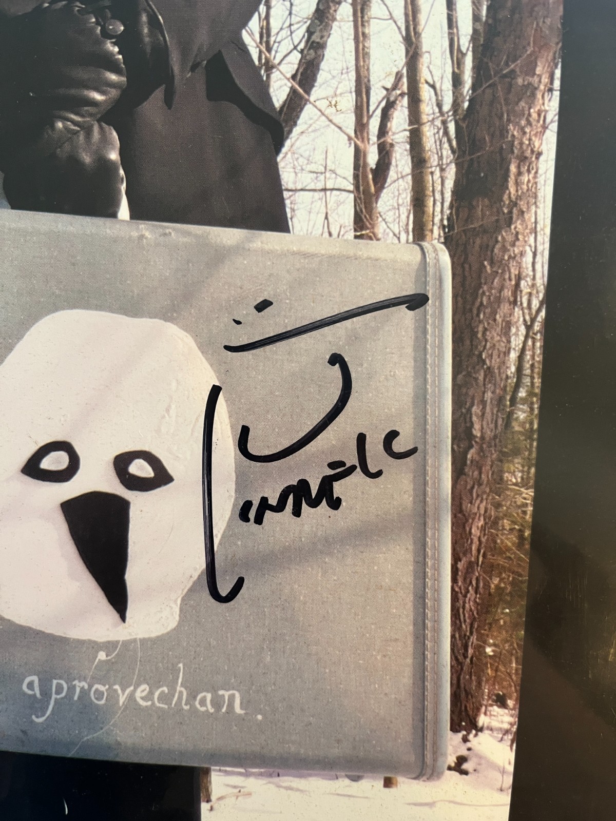 THEY MIGHT BE GIANTS – THE ELSE – FULLY SIGNED AUTOGRAPHED (Record LP Album)