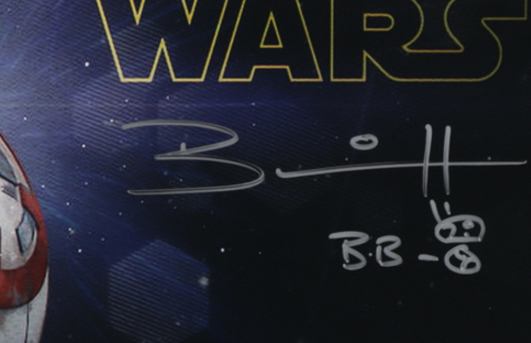 BRIAN HERRING “BB-8” Signed Star Wars 8×10 Photo (Prestine Authentic COA)