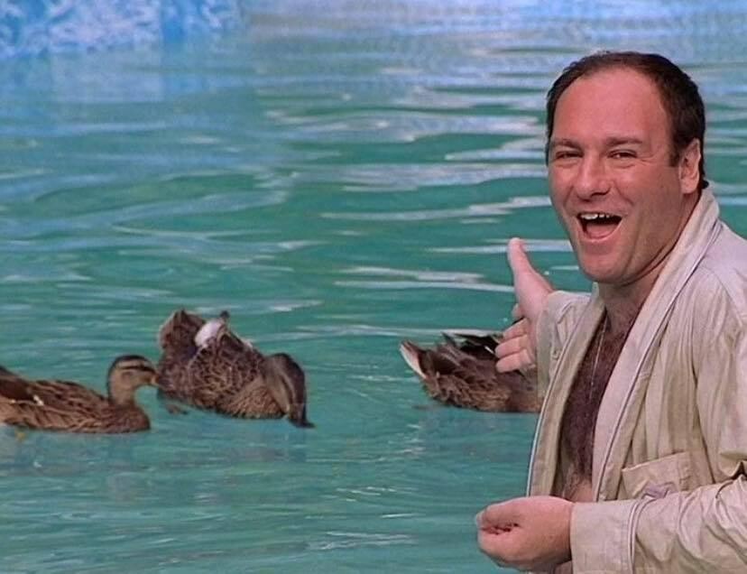 James Gandolfini 5×7 photograph the SOPRANOS mafia boss Ducks in the Pool photo