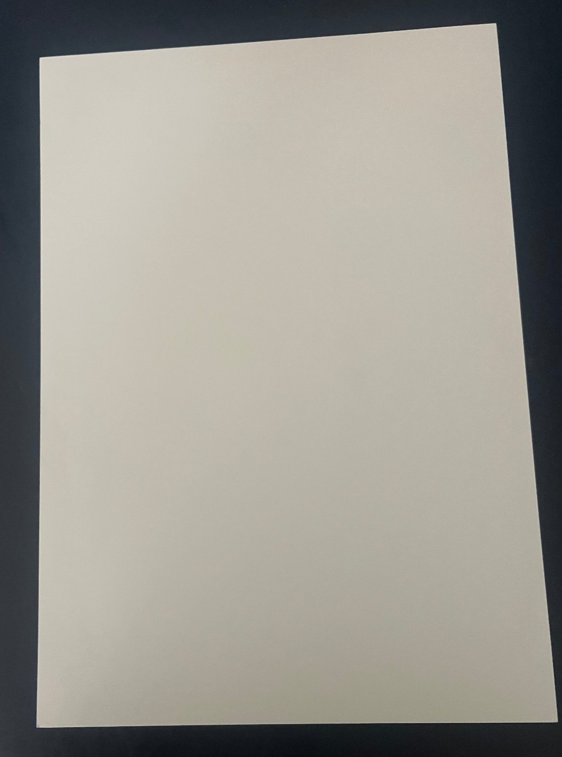 Bob Dylan – Original Tour Poster – Atlantic City – The Sands Casino Feb 27, 1999