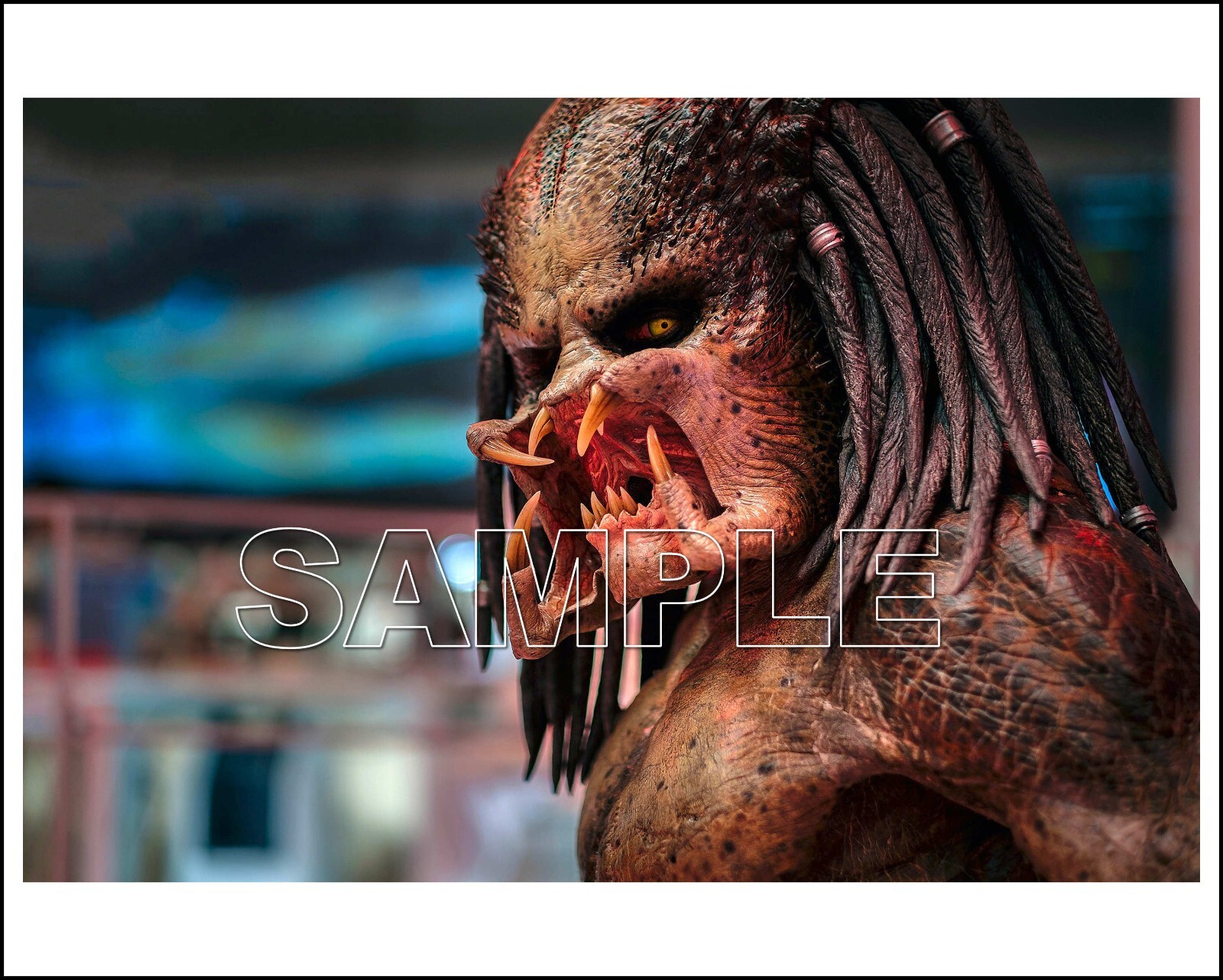 THE PREDATOR 2018 8X10 Photo 01