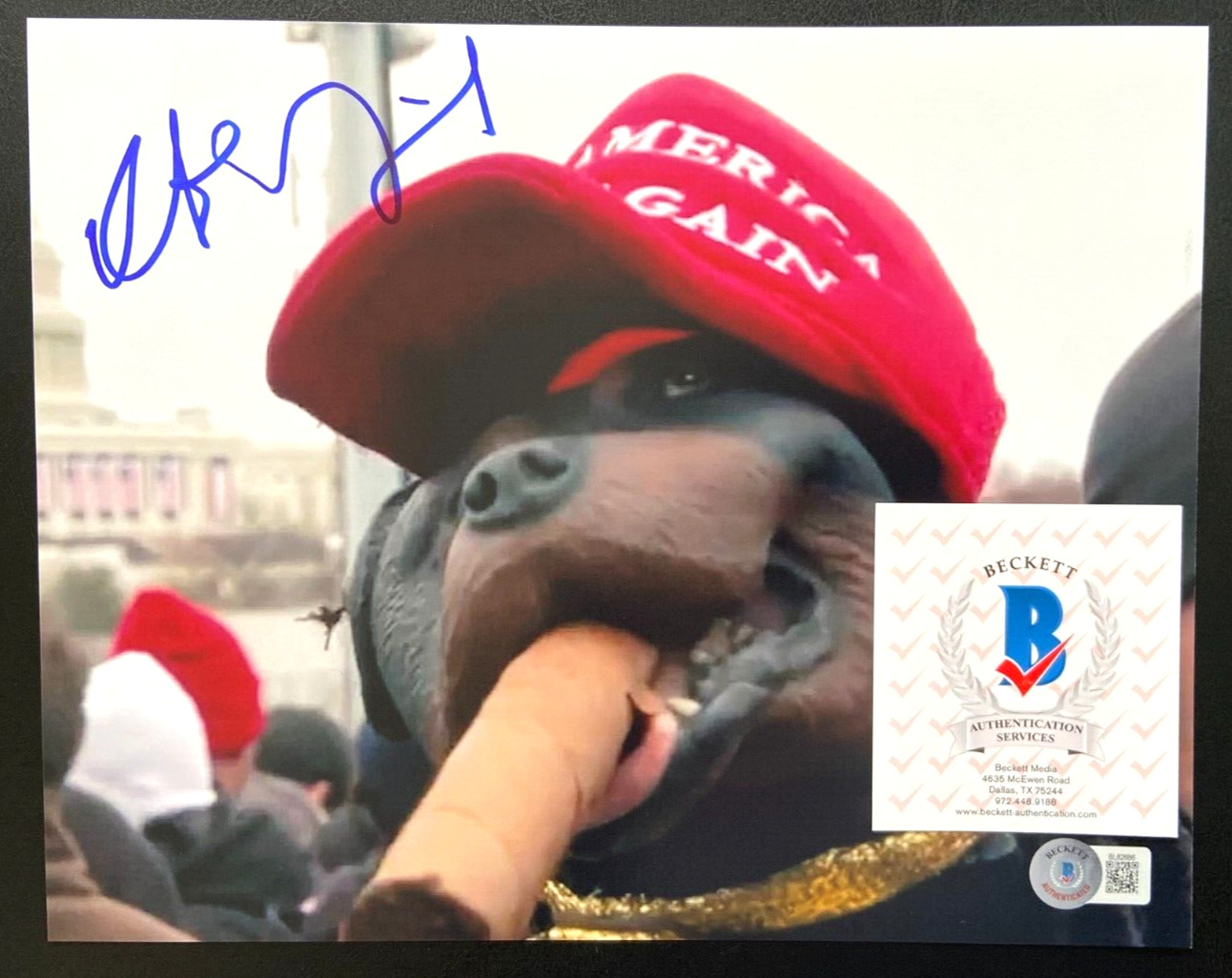 ROBERT SMIGEL SIGNED TRIUMPH INSULT COMIC DOG 8X10 PHOTO SNL TV FUNHOUSE BAS C