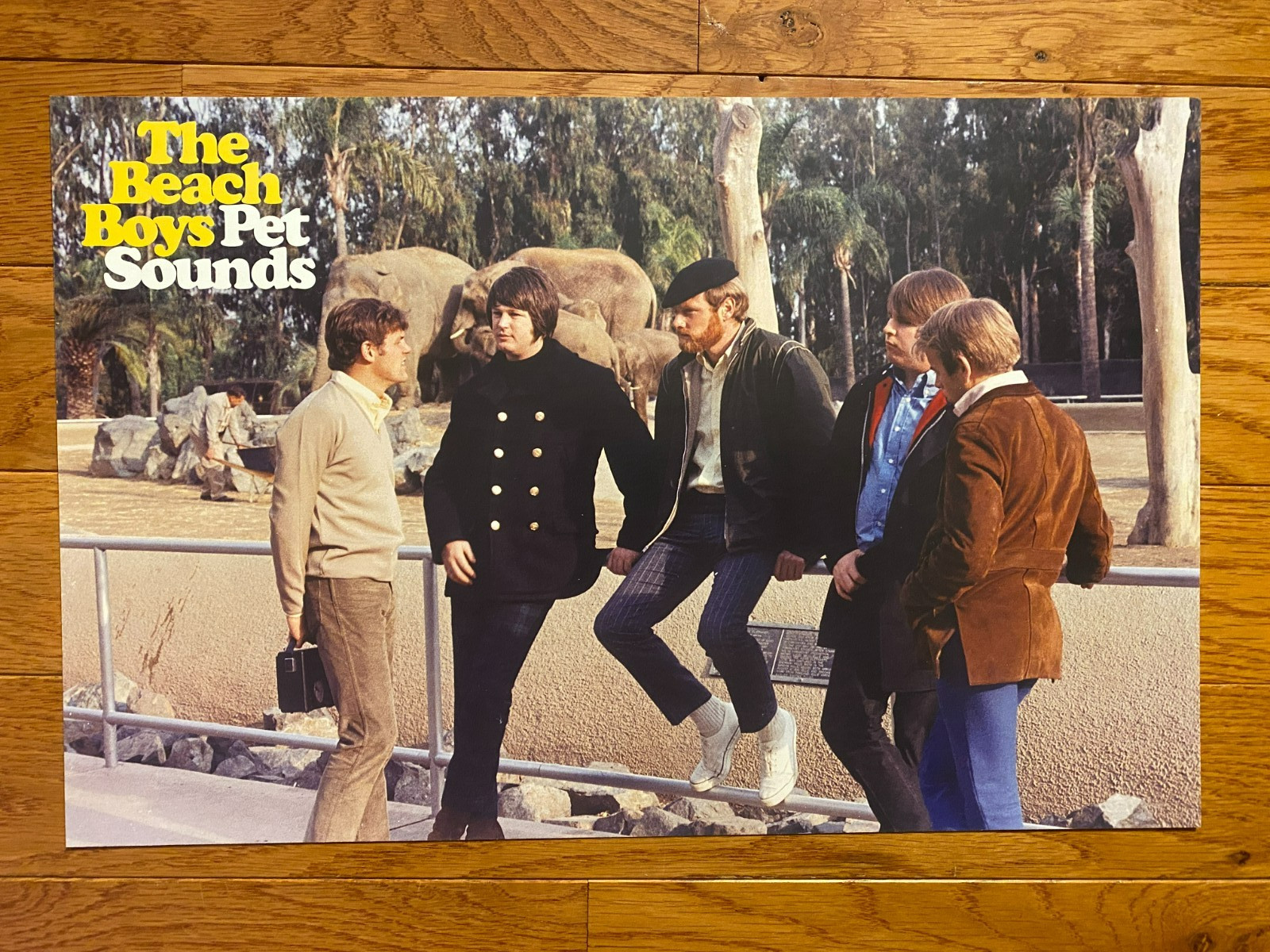 The Beach Boys Pet Sounds Promo Poster 60th Anniversary 11″ X 17″ Ships Flat