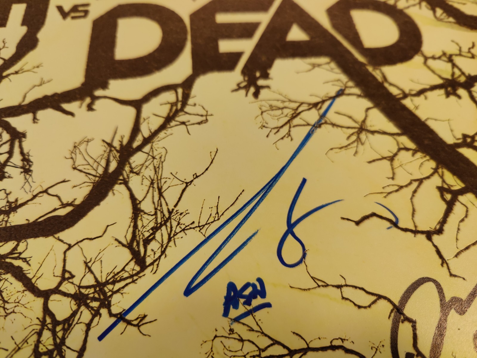 Ash vs Evil Dead Fuzzy Poster Signed Bruce Campbell Sam Raimi Lucy Lawless 18×24