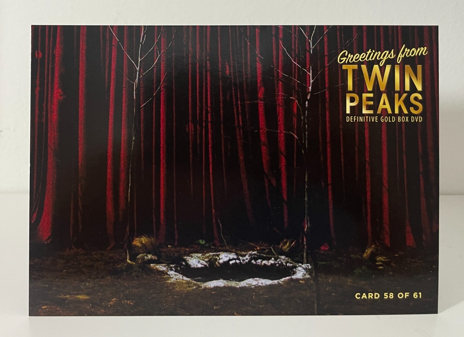 TWIN PEAKS Gold Box DVD POSTCARD #58 BLACK LODGE (Glastonbury Grove) RARE