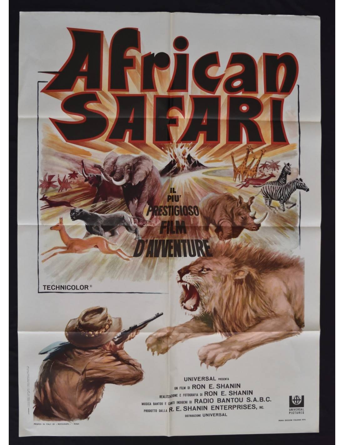 AFRICAN SAFARI Safari Jungle Lions Hunter A226 Film Poster