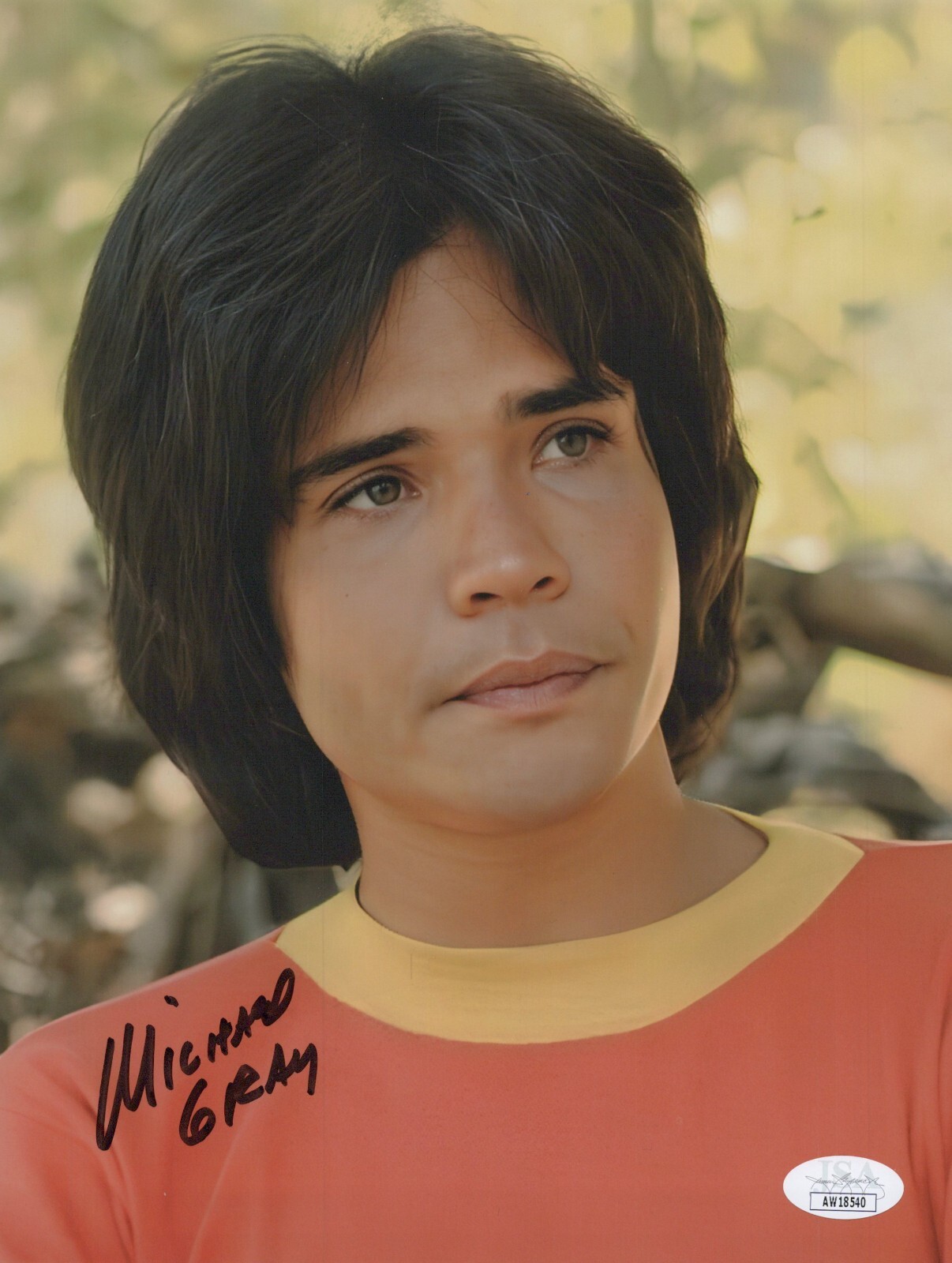 MICHAEL GRAY Hand Signed SHAZAM! 8×10 Photo BILLY BATSON Autograph JSA COA Cert