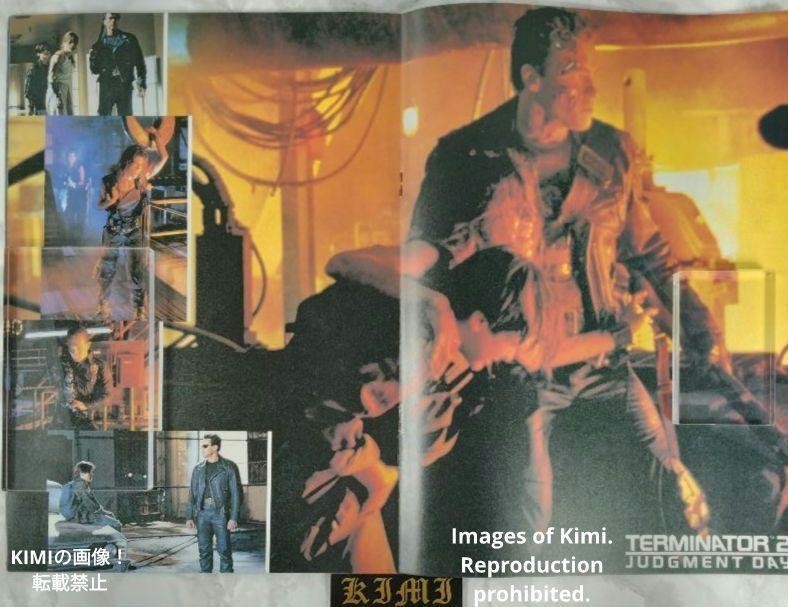 Rare Terminator 2 Terminator 2 Judgment Day T2 1991 Movie Pamphlet William Wishe