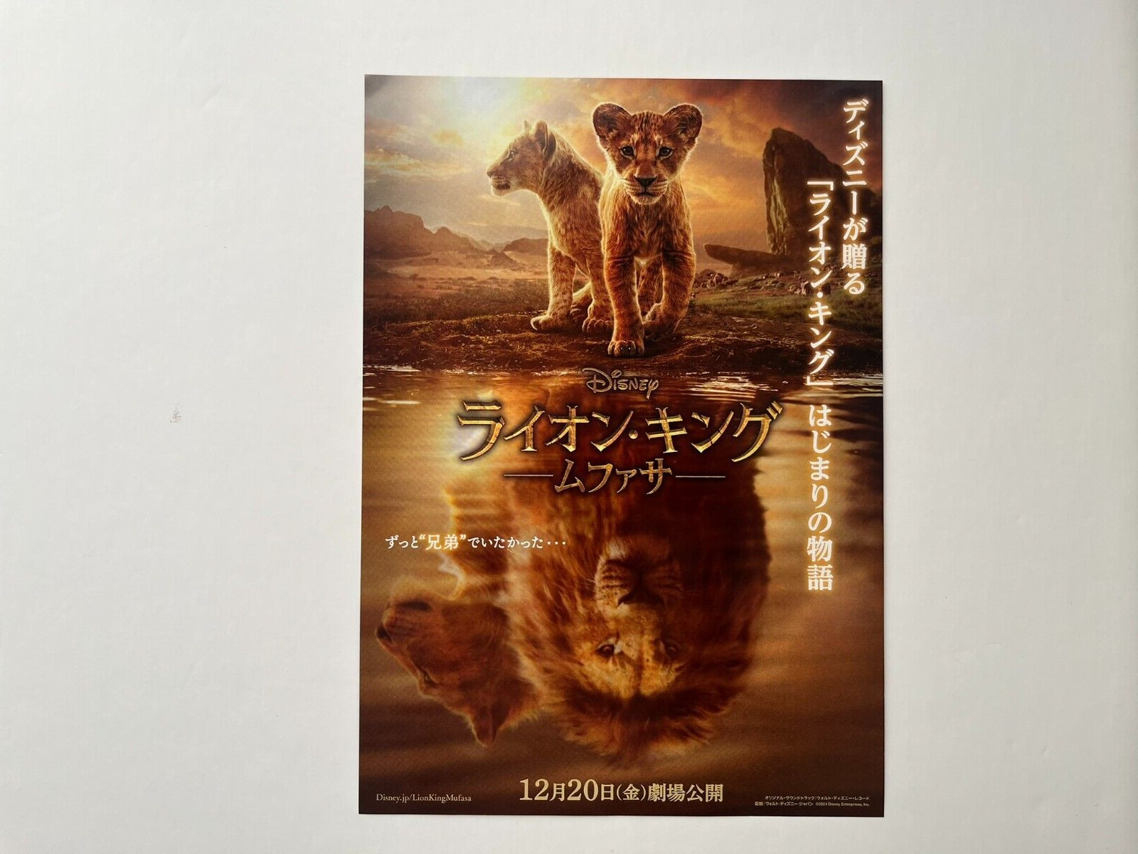 Movie Chirashi Flyer Japanese Mini Poster You Choose 2024- Up dated 17/03/2025