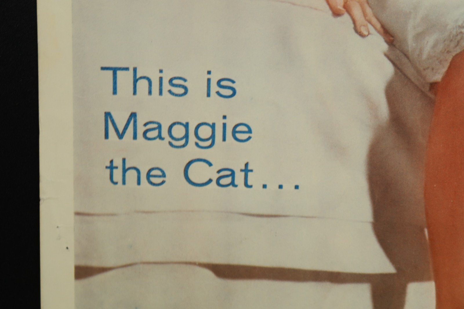 Cat on a Hot Tin Roof 1958 Poster Insert 14 x 36 NSS 58/330 Elizabeth Taylor