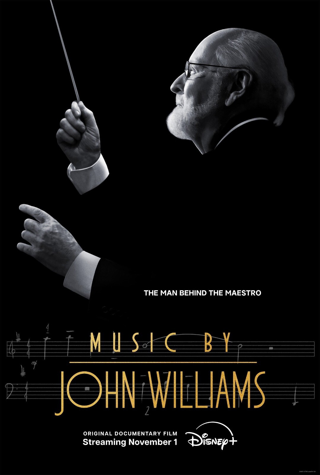 Music By John Williams poster – 11″ x 17″ inches