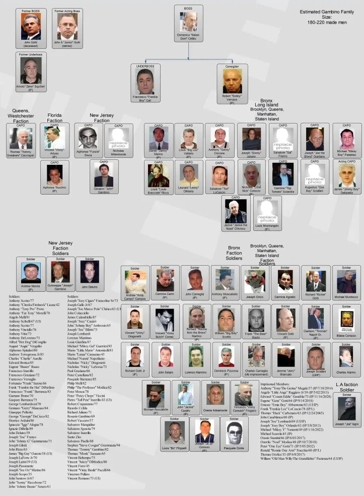 Gambino Family Chart Mafia Organized Crime Mob Mobster 8×10 PHOTO PRINT
